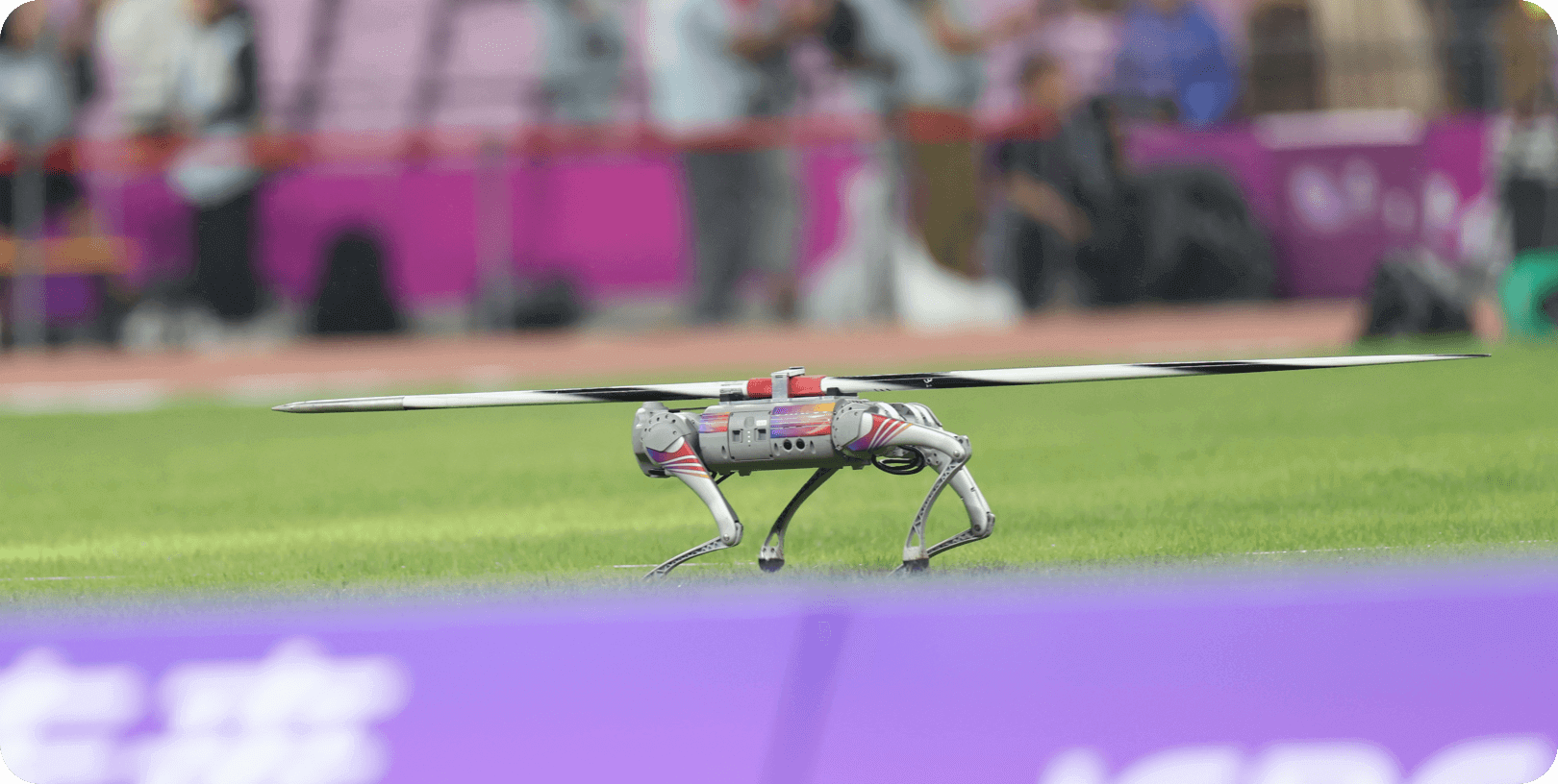 Go2 at Hangzhou Asian Games