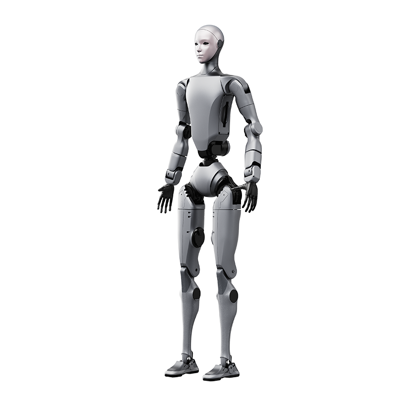 H2 Full Body Render
